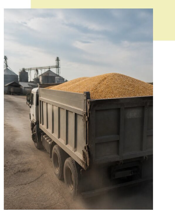 Перевозка сельхозпродукции навалом в Анапу по цене от 3115 р. | Агросервис-Нпа